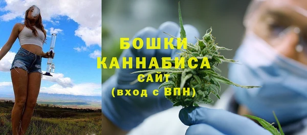 ГАЛЛЮЦИНОГЕННЫЕ ГРИБЫ Аркадак