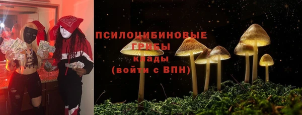 стафф Балабаново