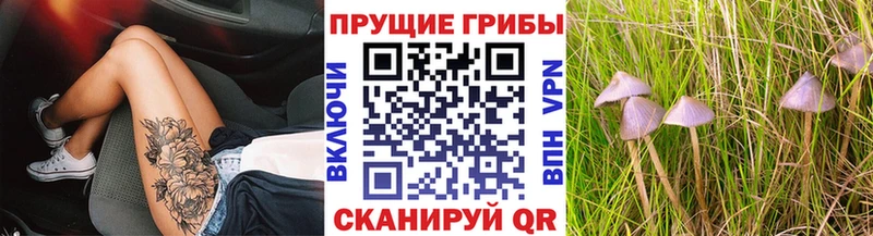 MEGA онион  Плёс  Галлюциногенные грибы прущие грибы 